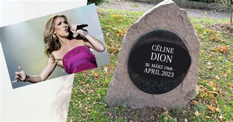 celin dion tot